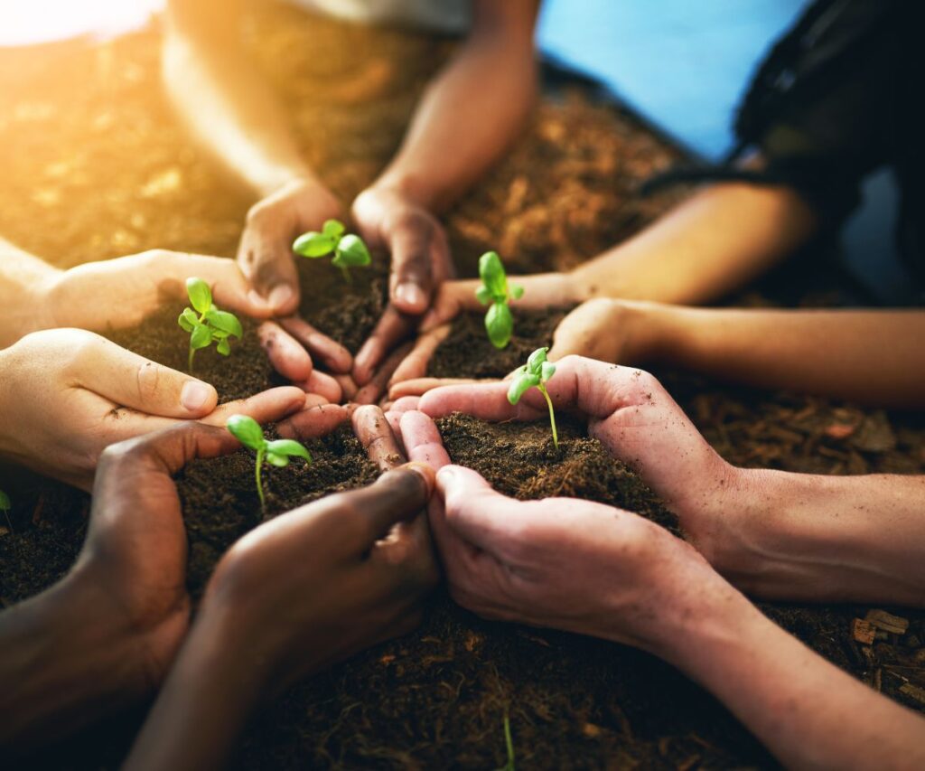 Imagem que monstra o cultivo sustentável 